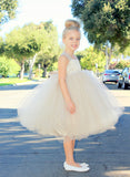 Sweetheart Neck Top Tutu Flower Girl Dress Special Occasion Pageant Gown Ballroom Dance Princess 201